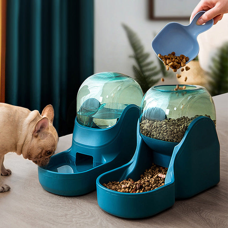 Dog Accessories