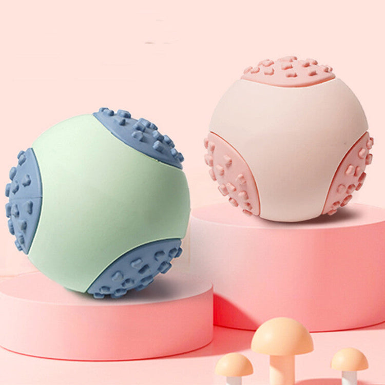 Pet  Toys