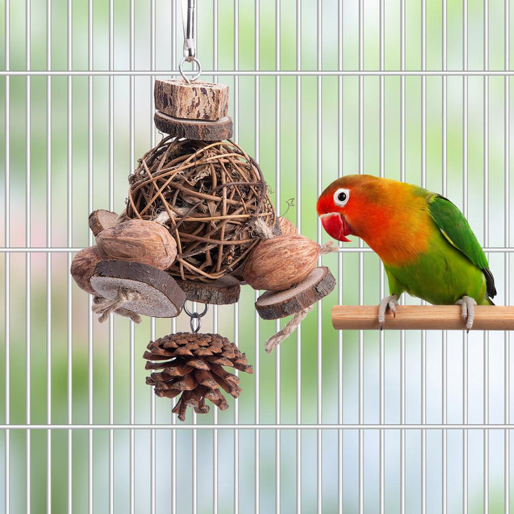 Bird Accessories