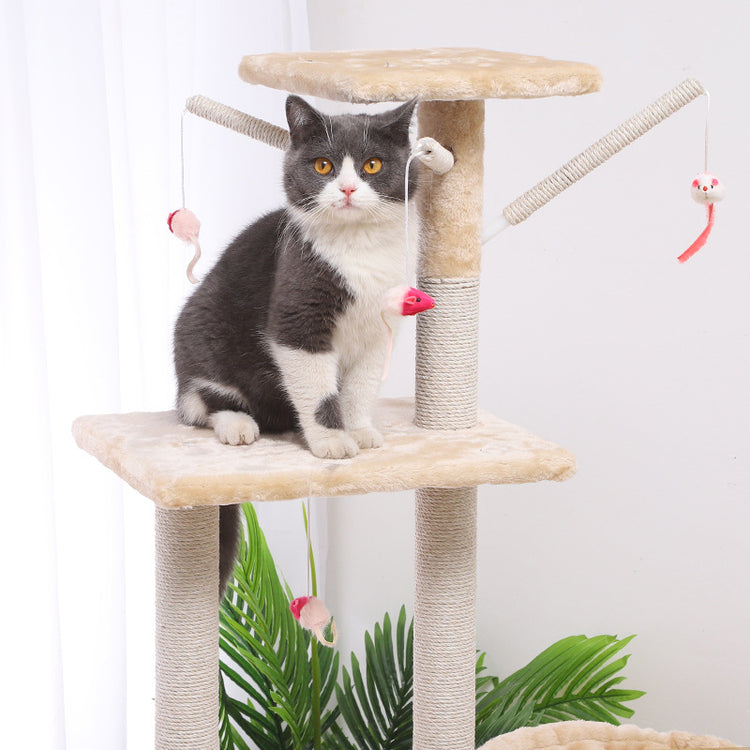 Cat Accessories